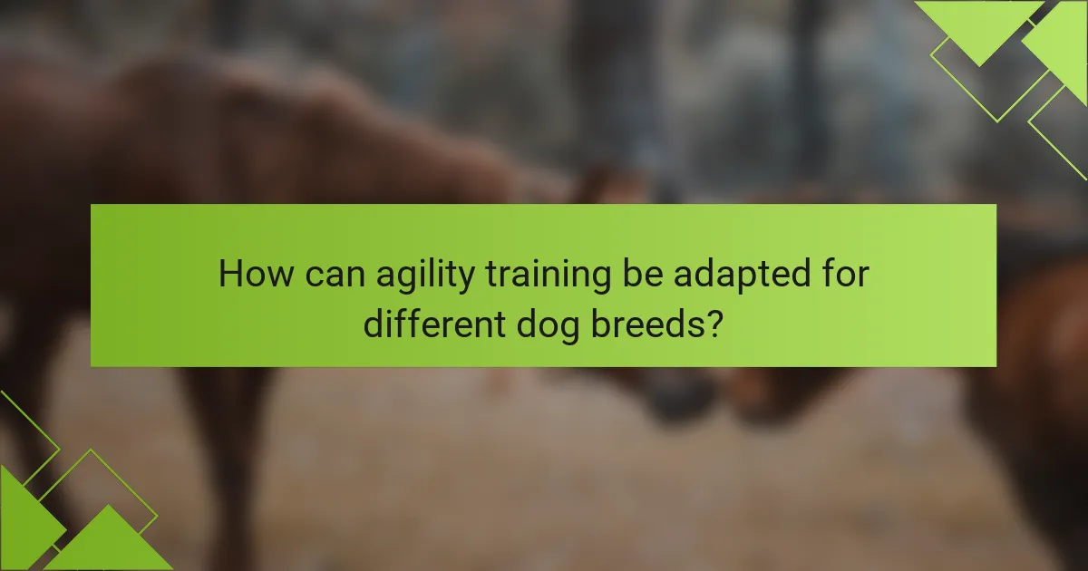 How can agility training be adapted for different dog breeds?