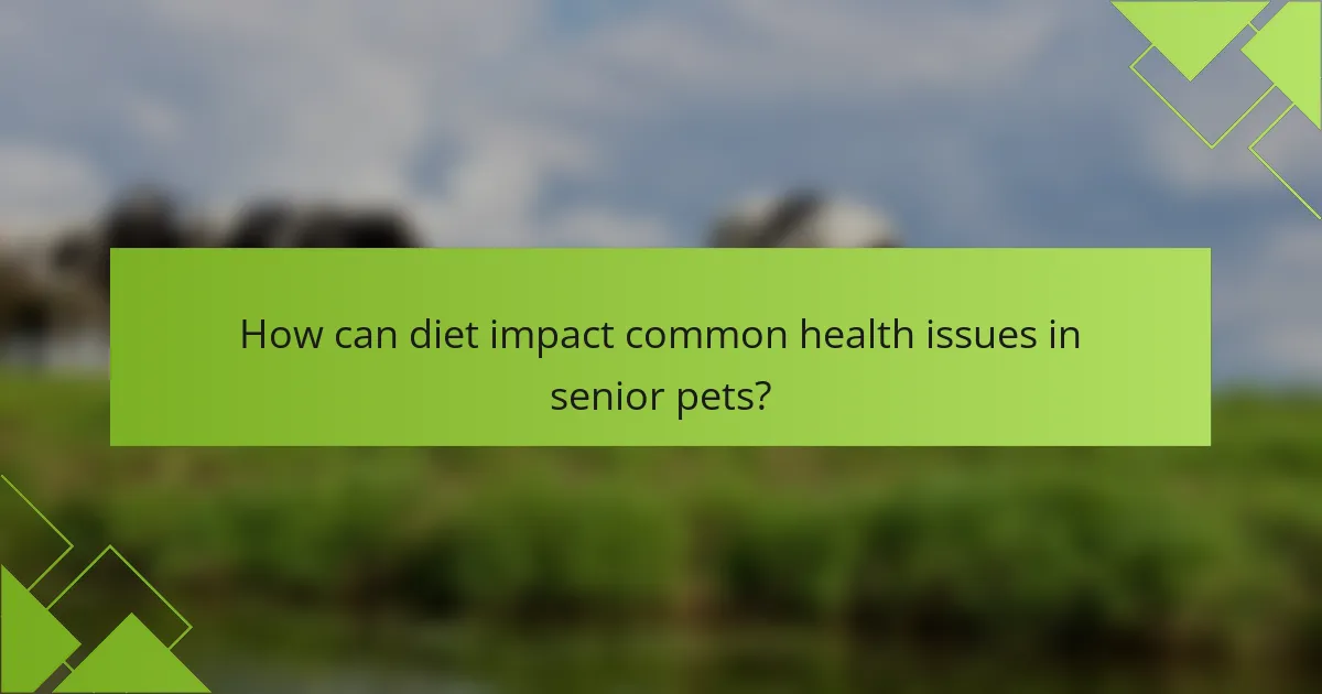 How can diet impact common health issues in senior pets?