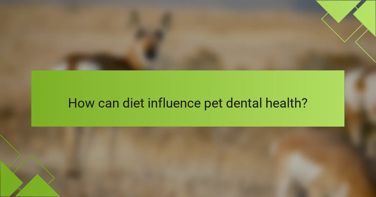 How can diet influence pet dental health?