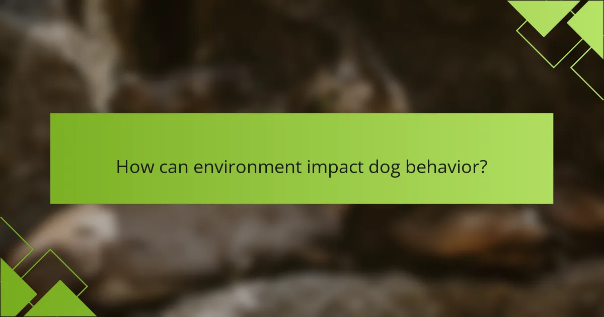 How can environment impact dog behavior?