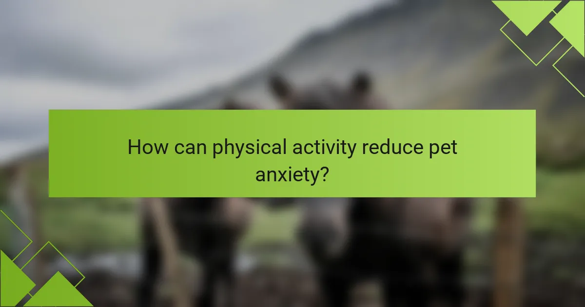 How can physical activity reduce pet anxiety?
