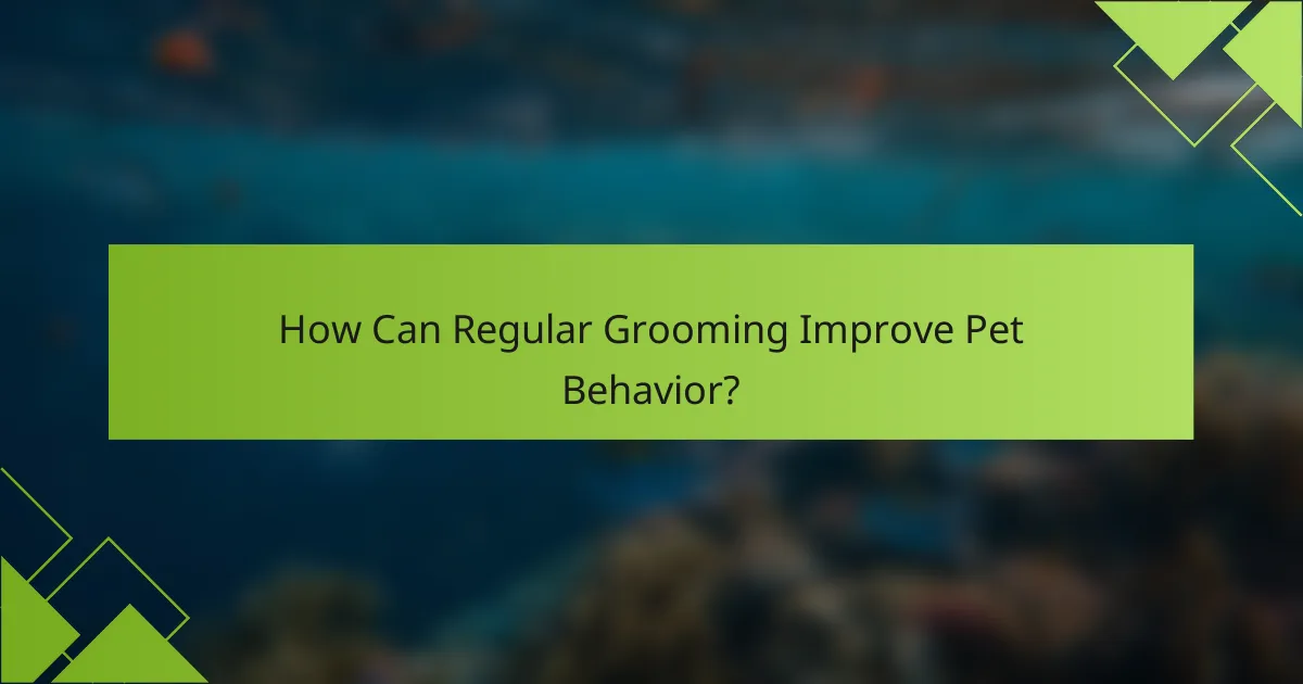 How Can Regular Grooming Improve Pet Behavior?