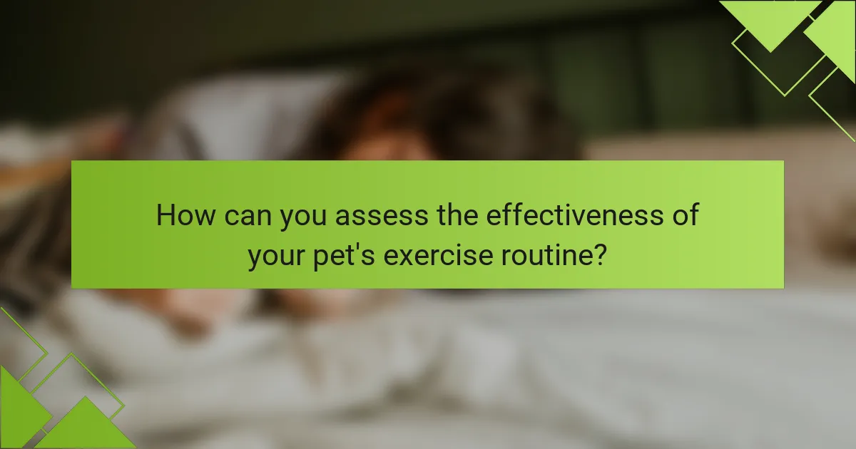 How can you assess the effectiveness of your pet's exercise routine?