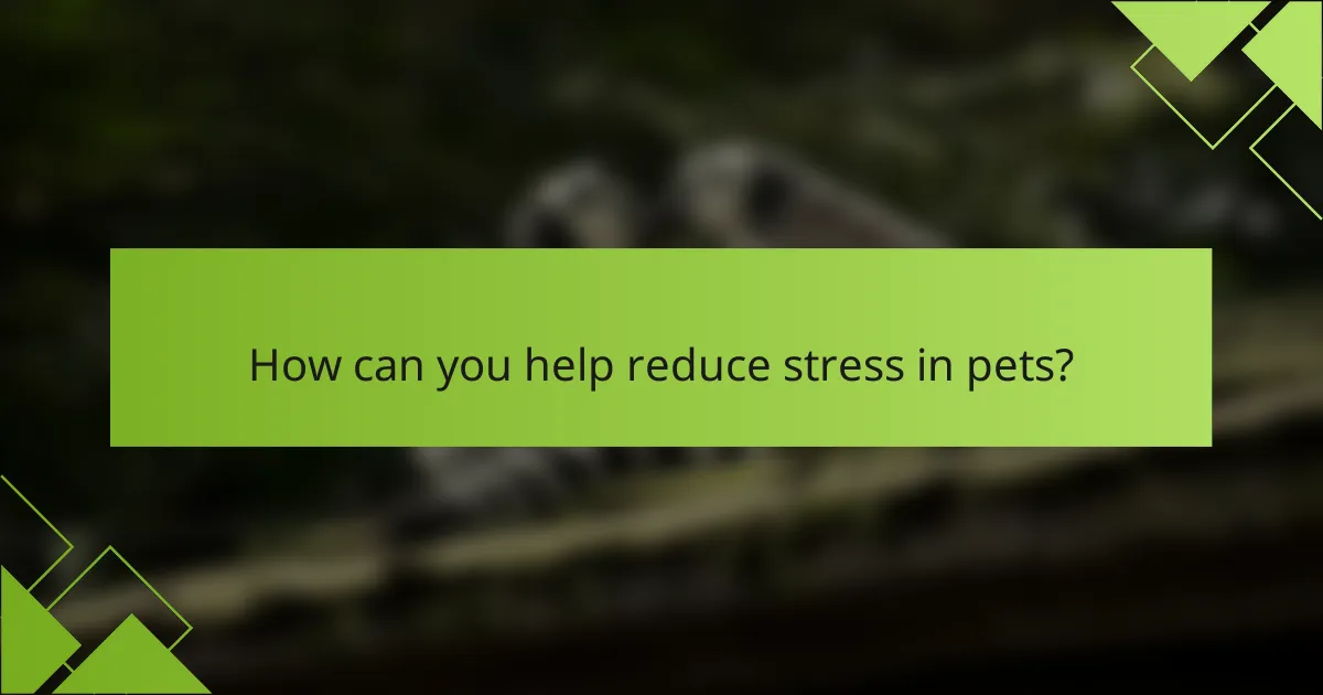How can you help reduce stress in pets?