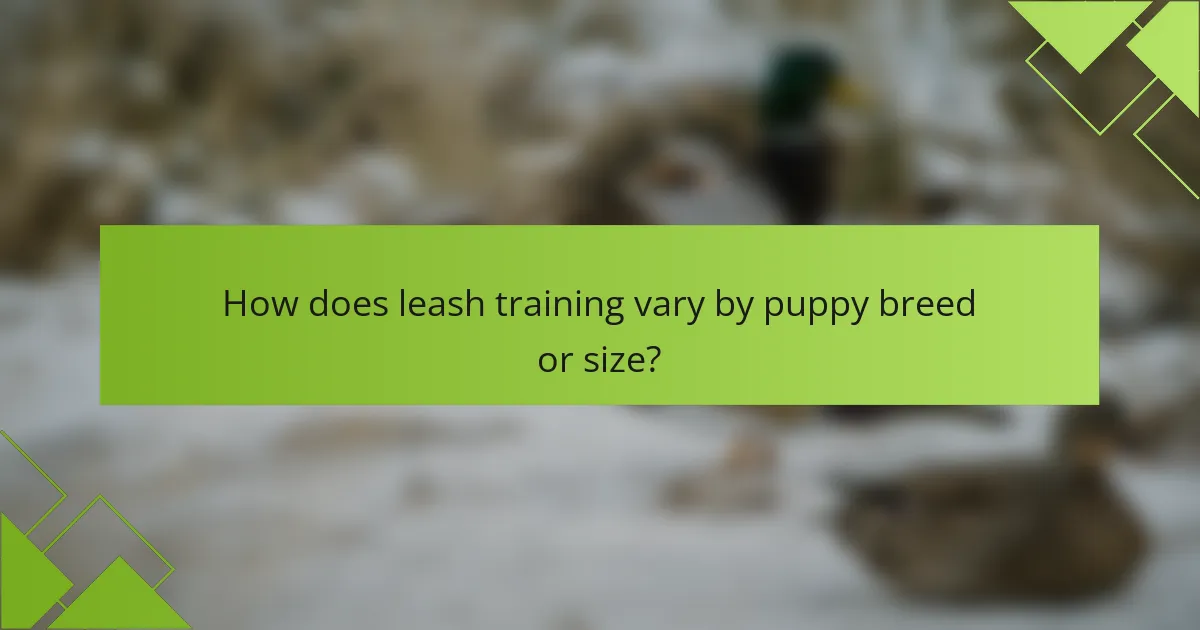 How does leash training vary by puppy breed or size?