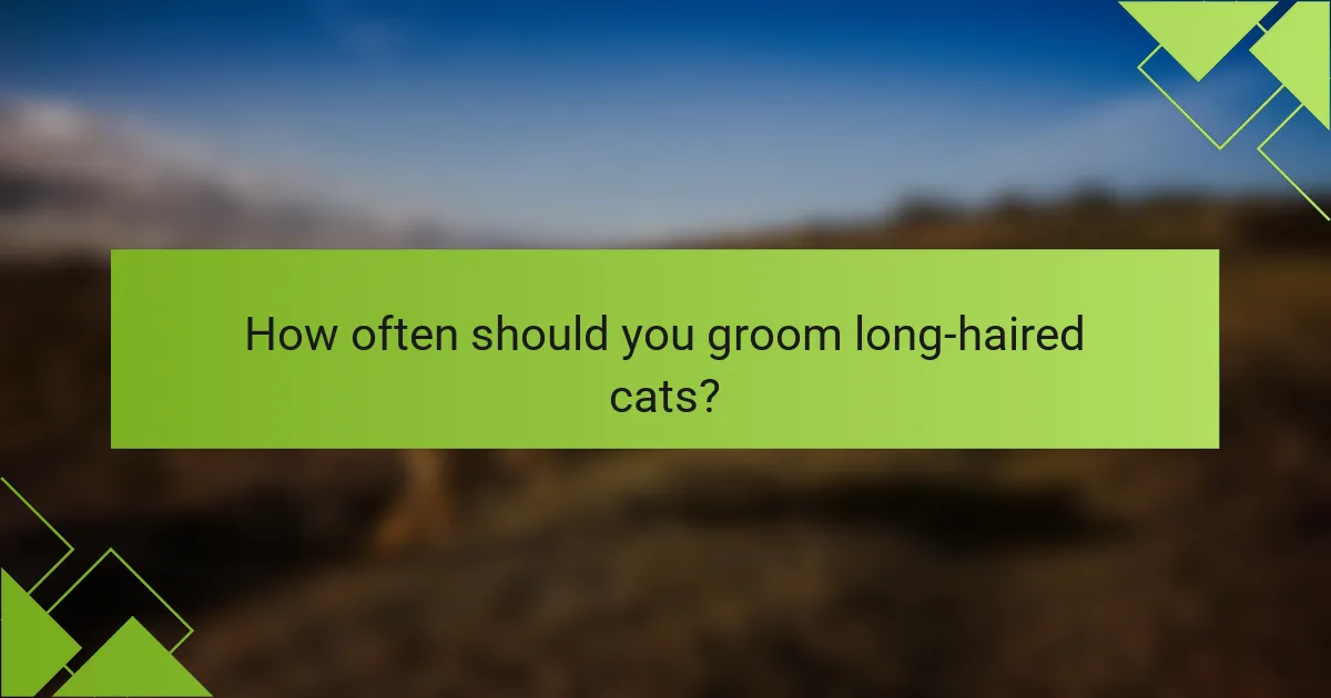 How often should you groom long-haired cats?