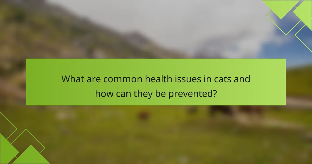 What are common health issues in cats and how can they be prevented?