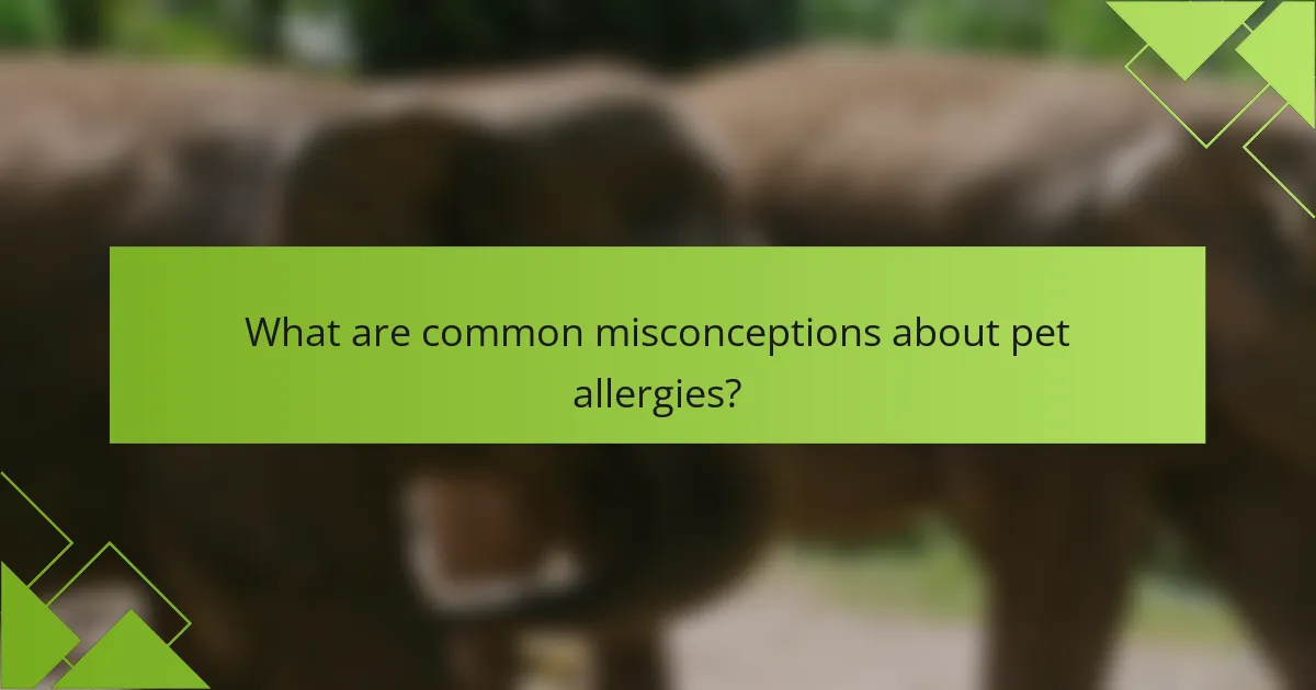 What are common misconceptions about pet allergies?