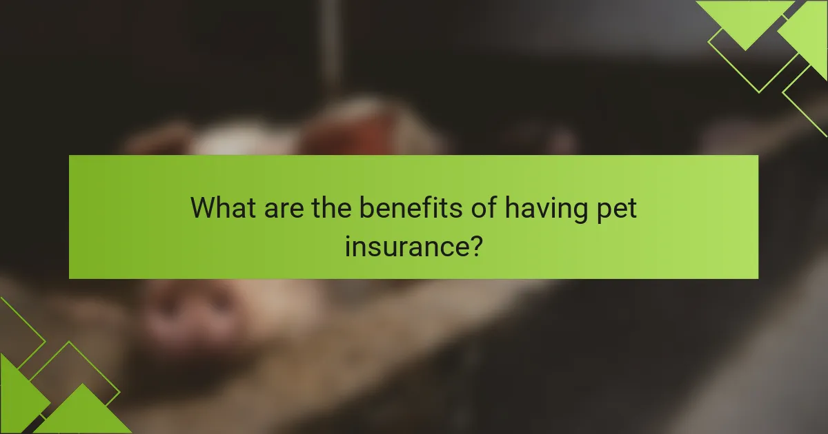 What are the benefits of having pet insurance?