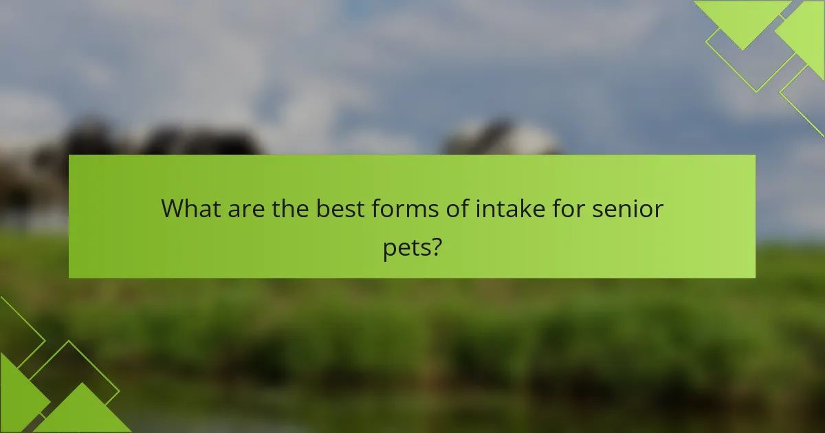 What are the best forms of intake for senior pets?