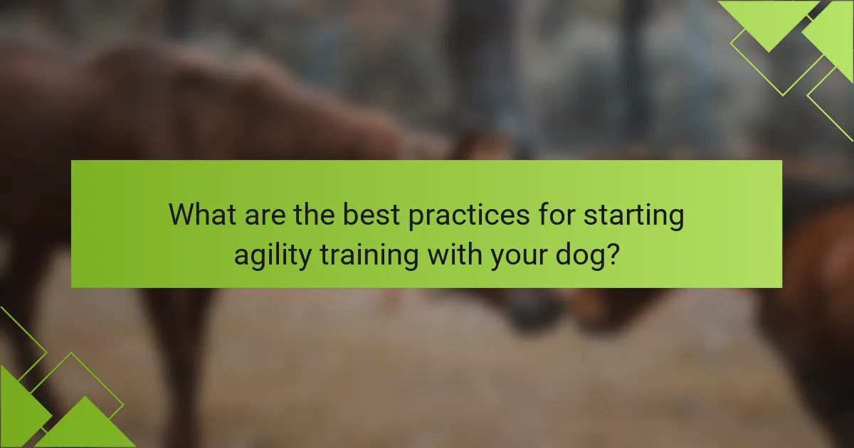 What are the best practices for starting agility training with your dog?