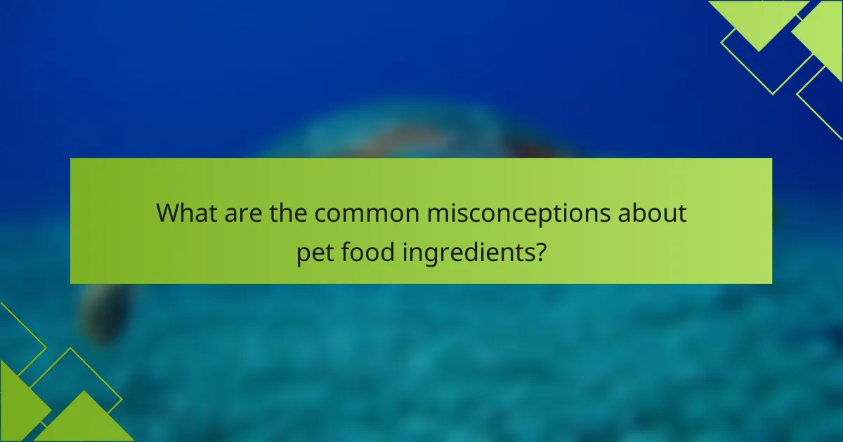 What are the common misconceptions about pet food ingredients?