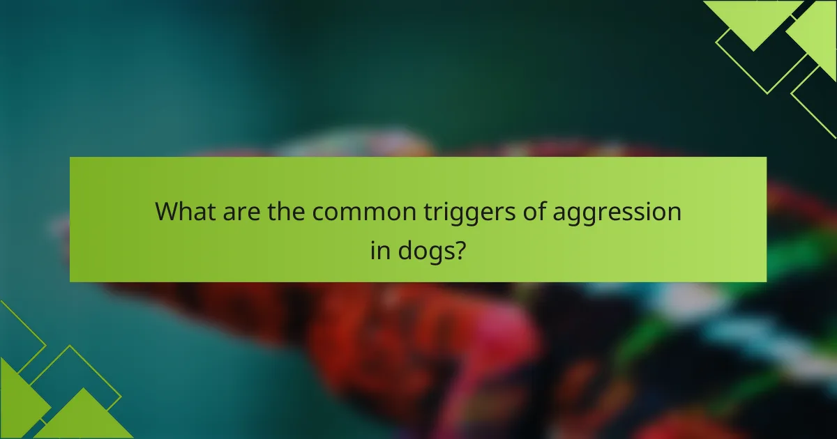 What are the common triggers of aggression in dogs?