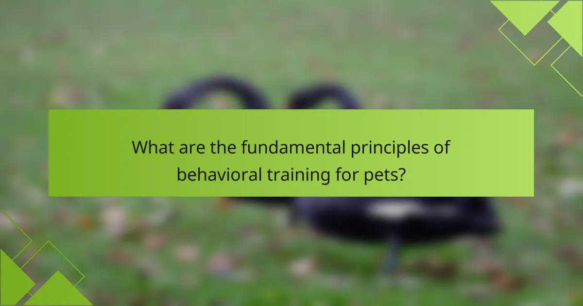 What are the fundamental principles of behavioral training for pets?