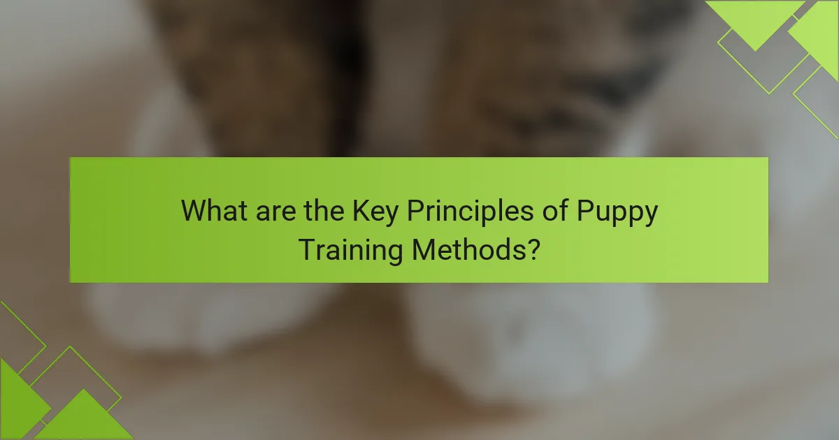 What are the Key Principles of Puppy Training Methods?
