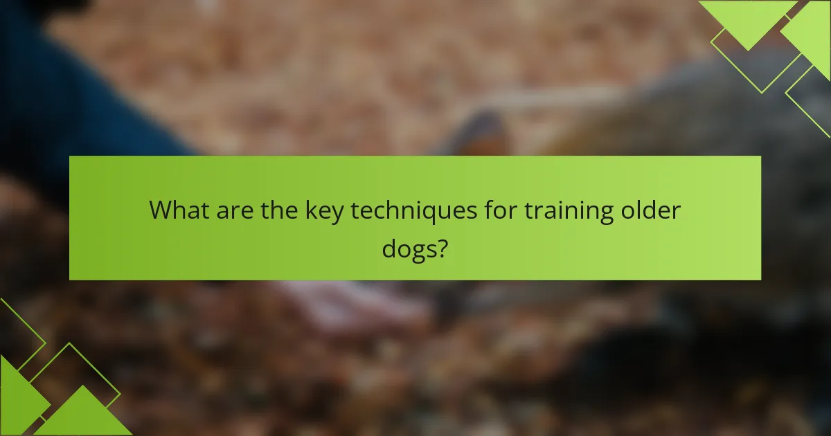 What are the key techniques for training older dogs?