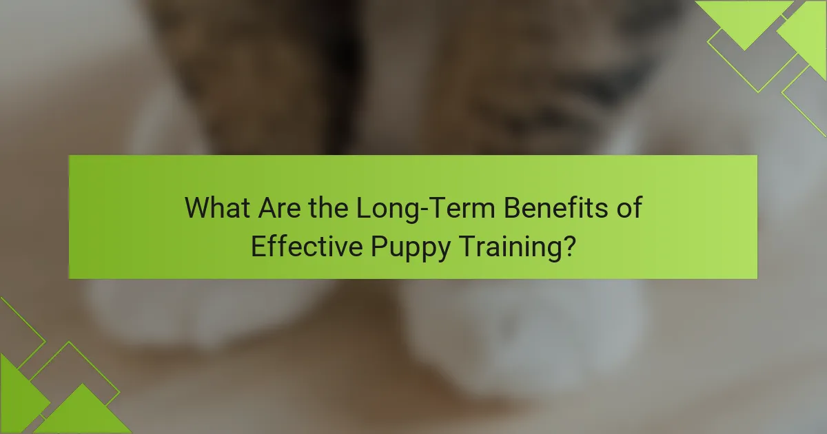 What Are the Long-Term Benefits of Effective Puppy Training?