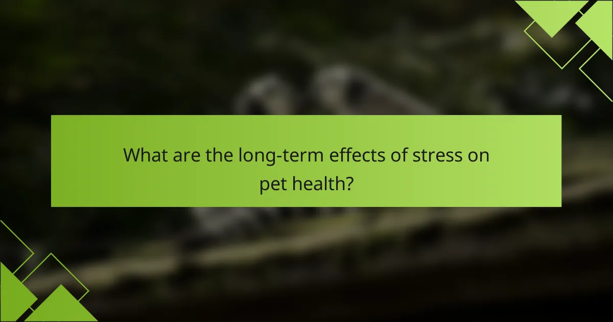 What are the long-term effects of stress on pet health?