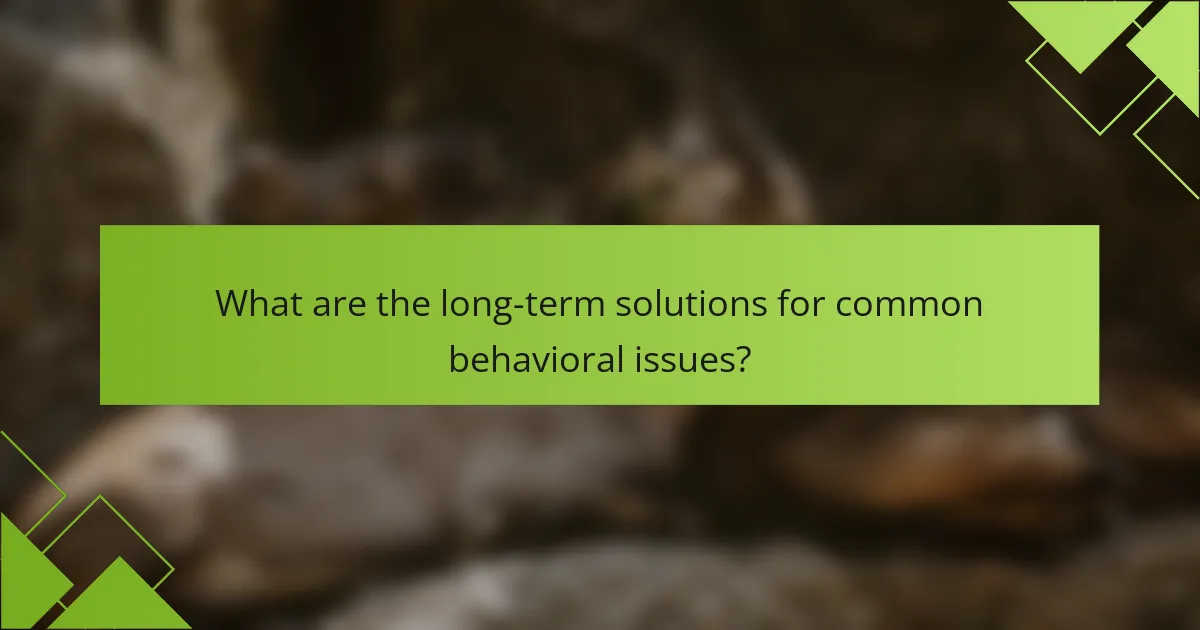 What are the long-term solutions for common behavioral issues?