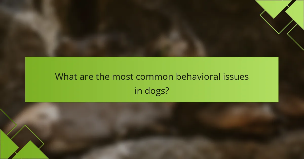What are the most common behavioral issues in dogs?