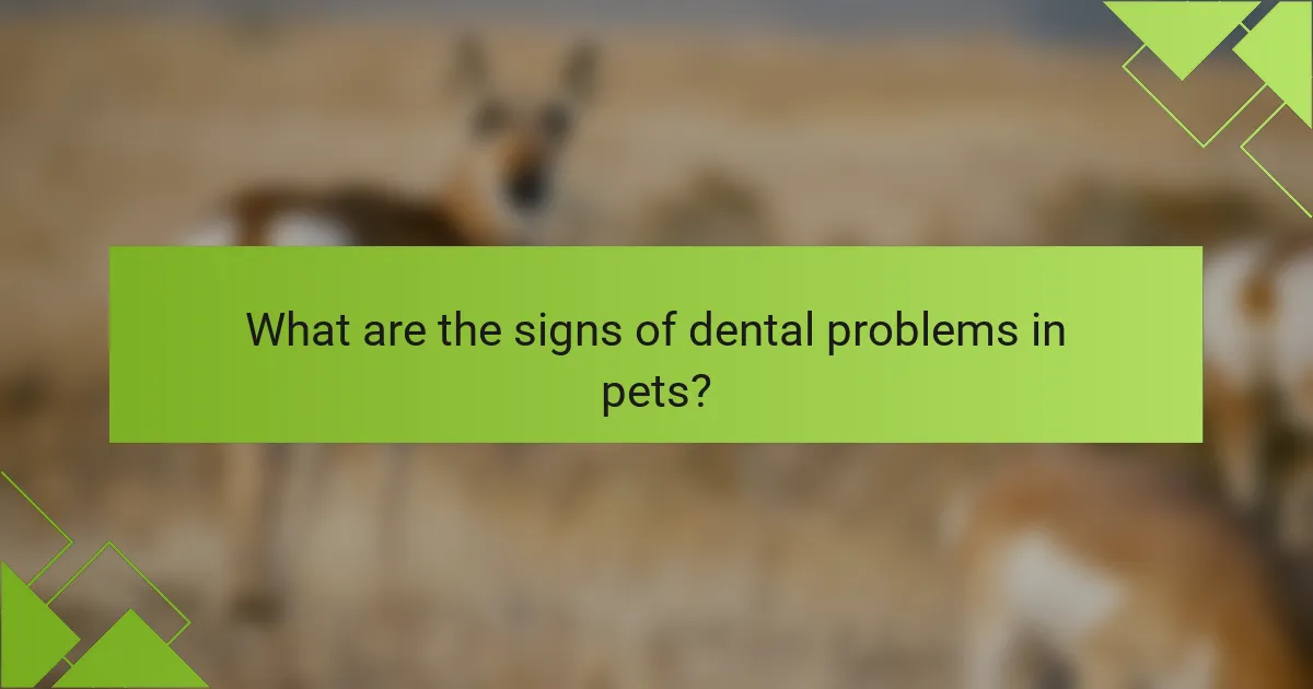 What are the signs of dental problems in pets?