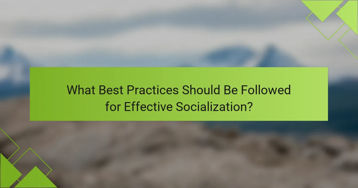 What Best Practices Should Be Followed for Effective Socialization?