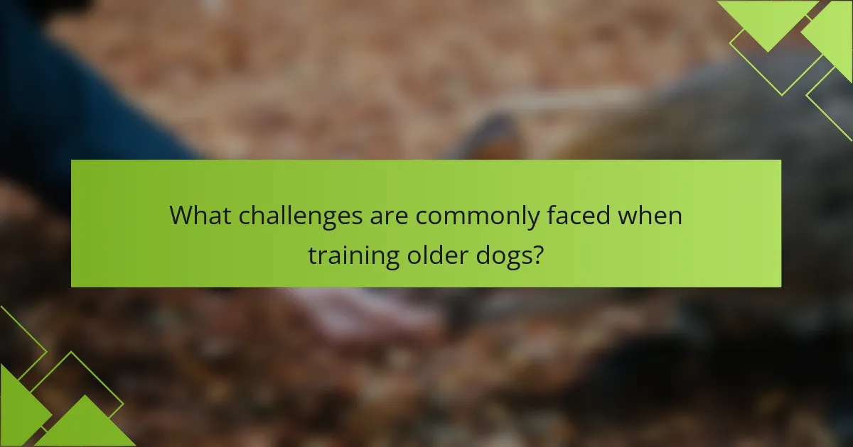 What challenges are commonly faced when training older dogs?