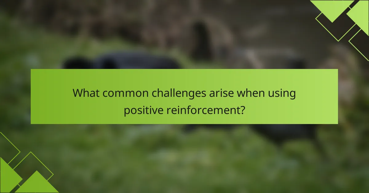 What common challenges arise when using positive reinforcement?