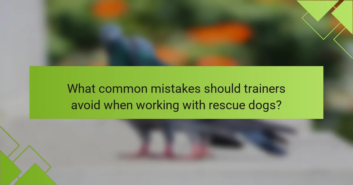 What common mistakes should trainers avoid when working with rescue dogs?