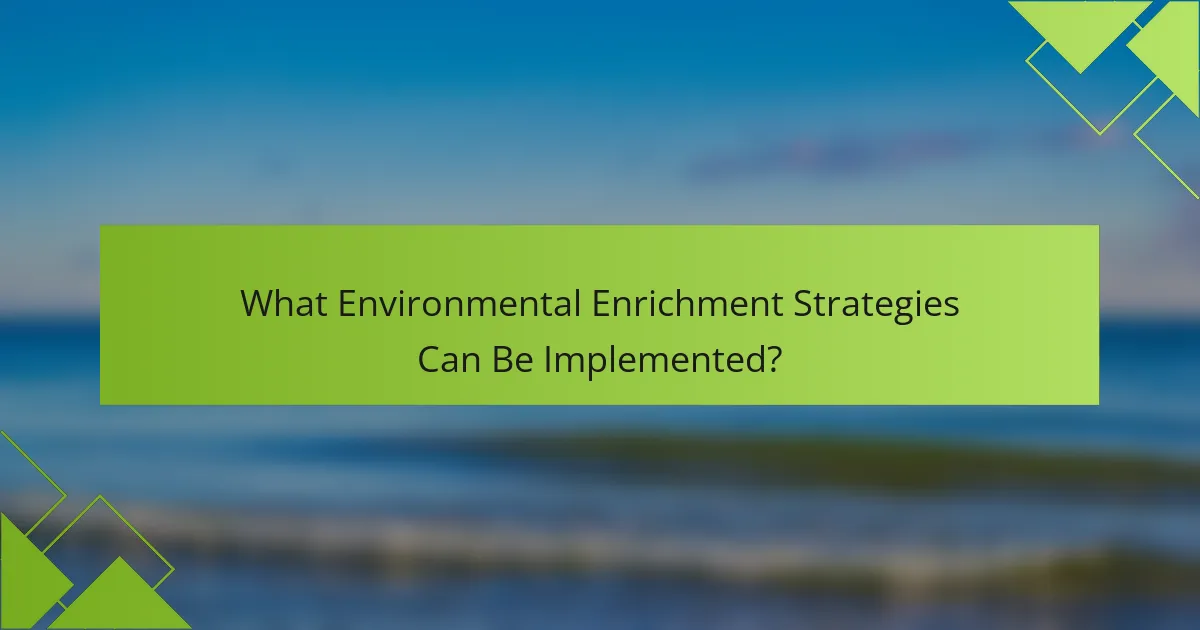 What Environmental Enrichment Strategies Can Be Implemented?