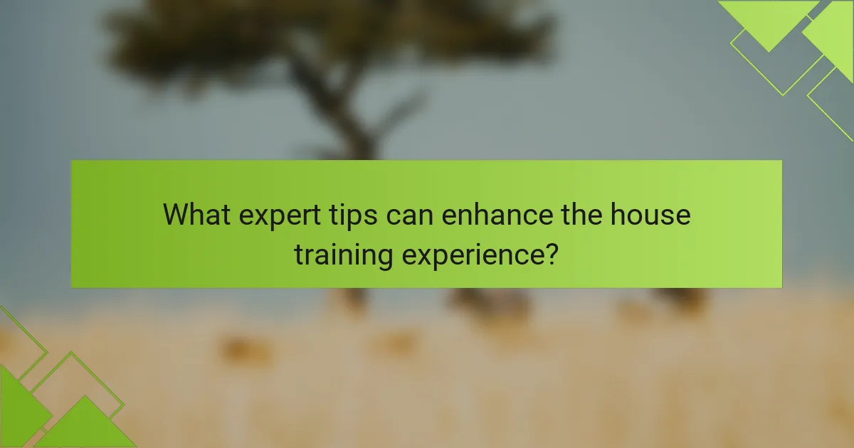 What expert tips can enhance the house training experience?