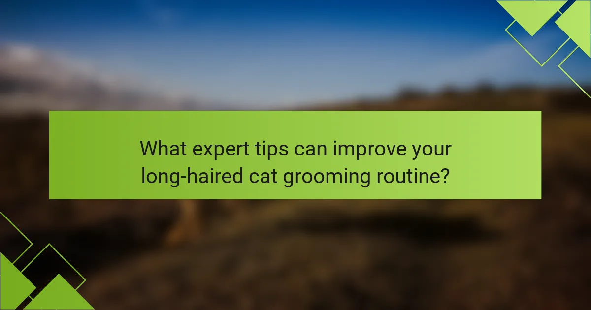 What expert tips can improve your long-haired cat grooming routine?