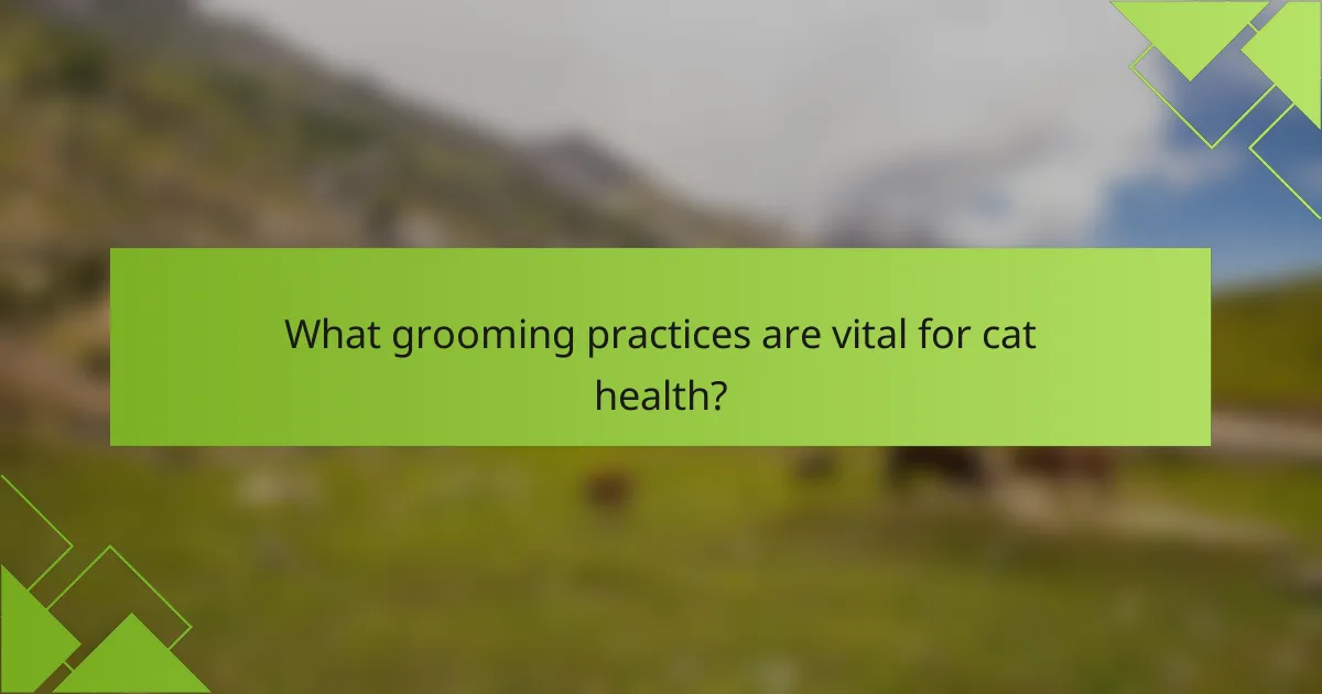 What grooming practices are vital for cat health?