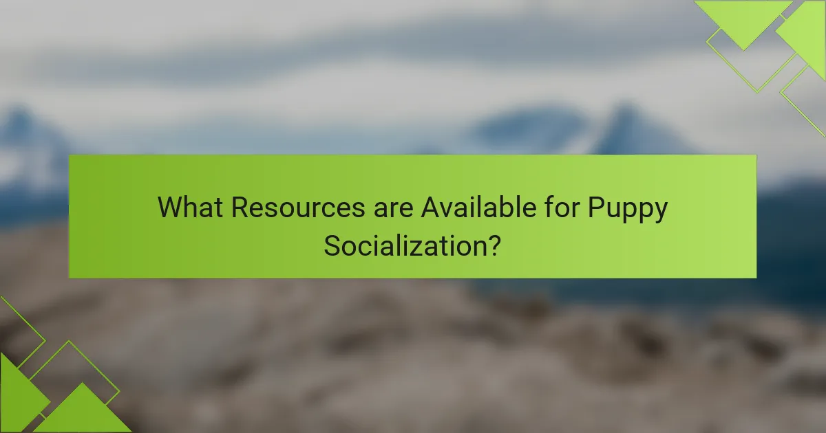 What Resources are Available for Puppy Socialization?