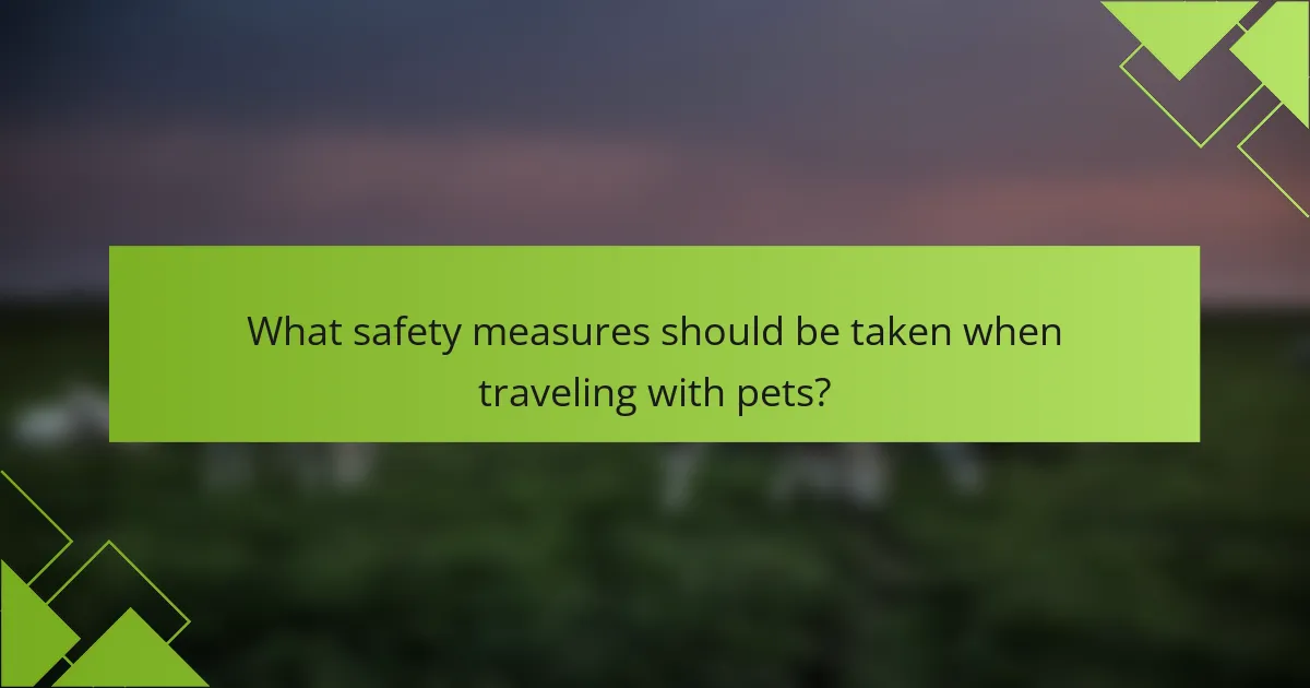 What safety measures should be taken when traveling with pets?