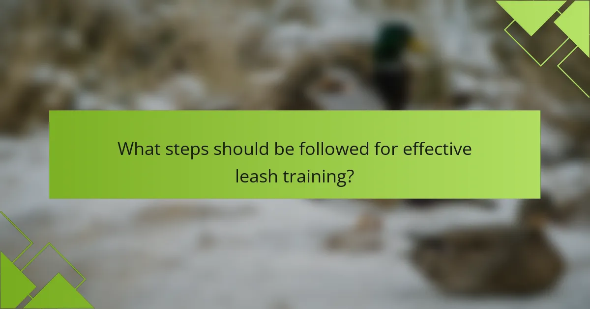 What steps should be followed for effective leash training?