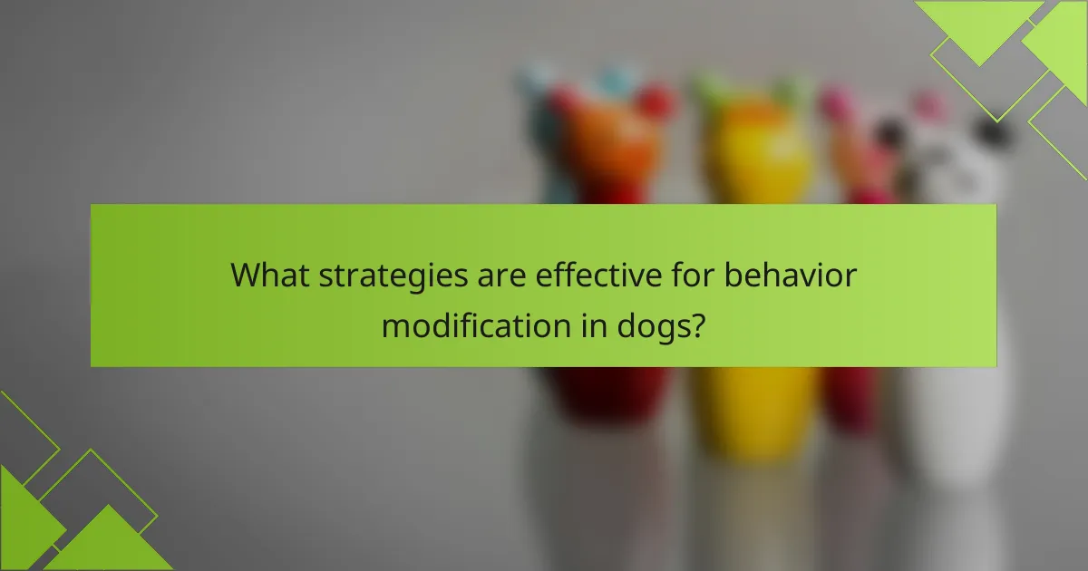 What strategies are effective for behavior modification in dogs?