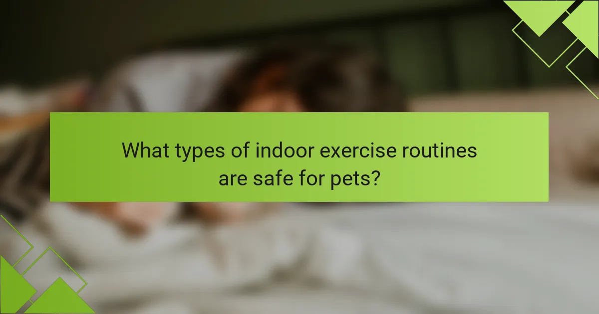 What types of indoor exercise routines are safe for pets?