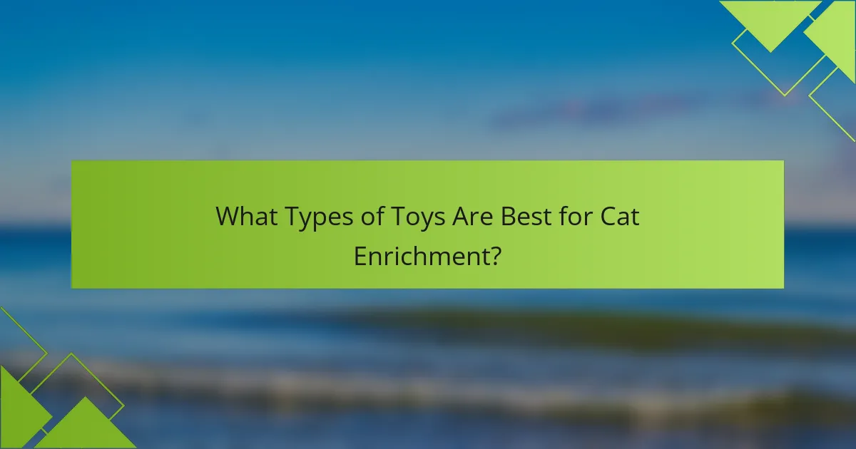 What Types of Toys Are Best for Cat Enrichment?