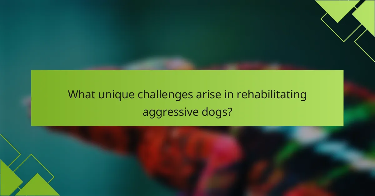 What unique challenges arise in rehabilitating aggressive dogs?