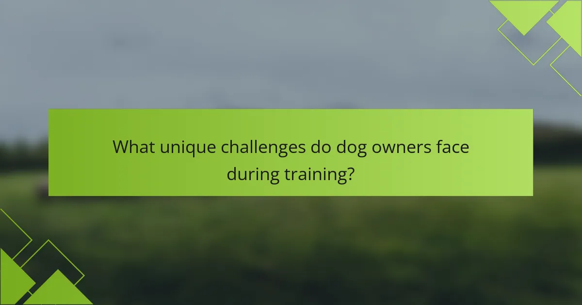 What unique challenges do dog owners face during training?