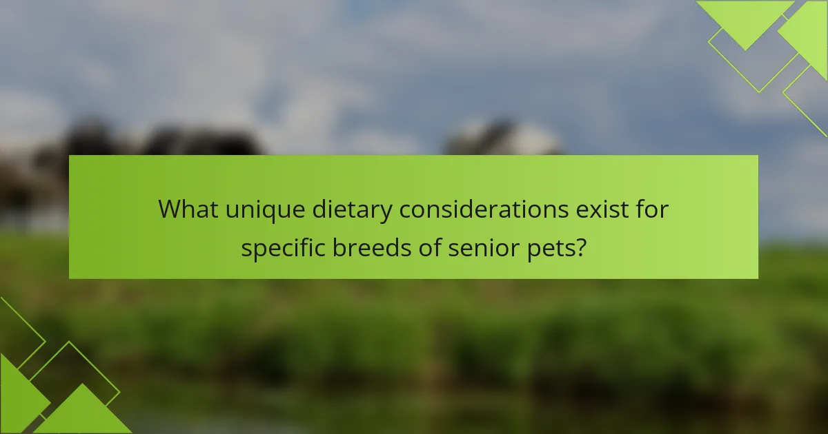 What unique dietary considerations exist for specific breeds of senior pets?