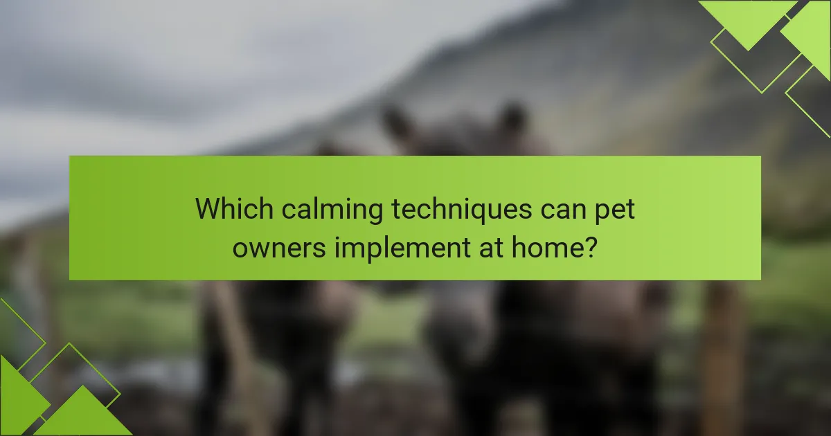 Which calming techniques can pet owners implement at home?