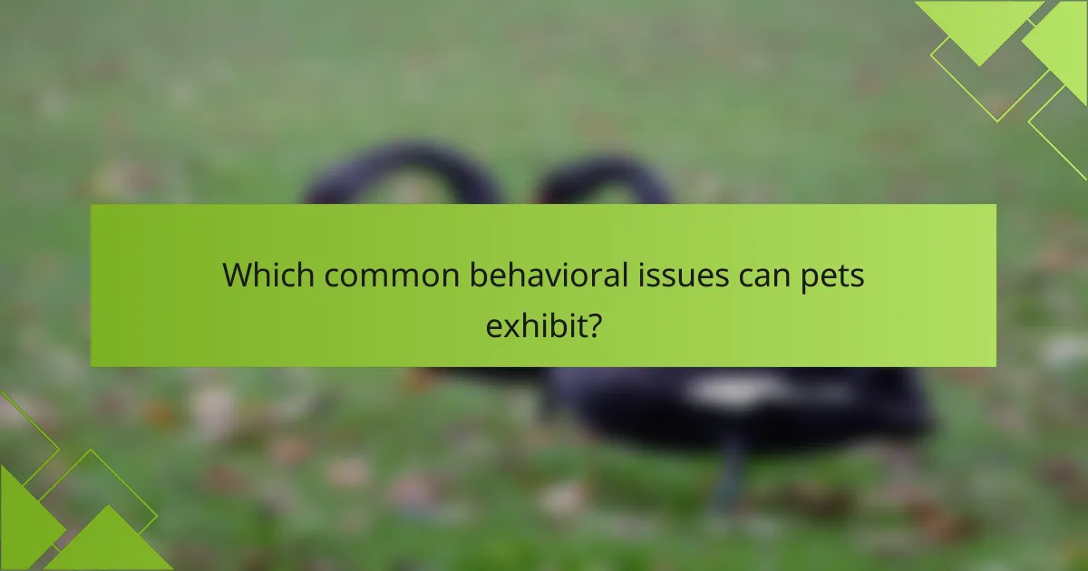 Which common behavioral issues can pets exhibit?
