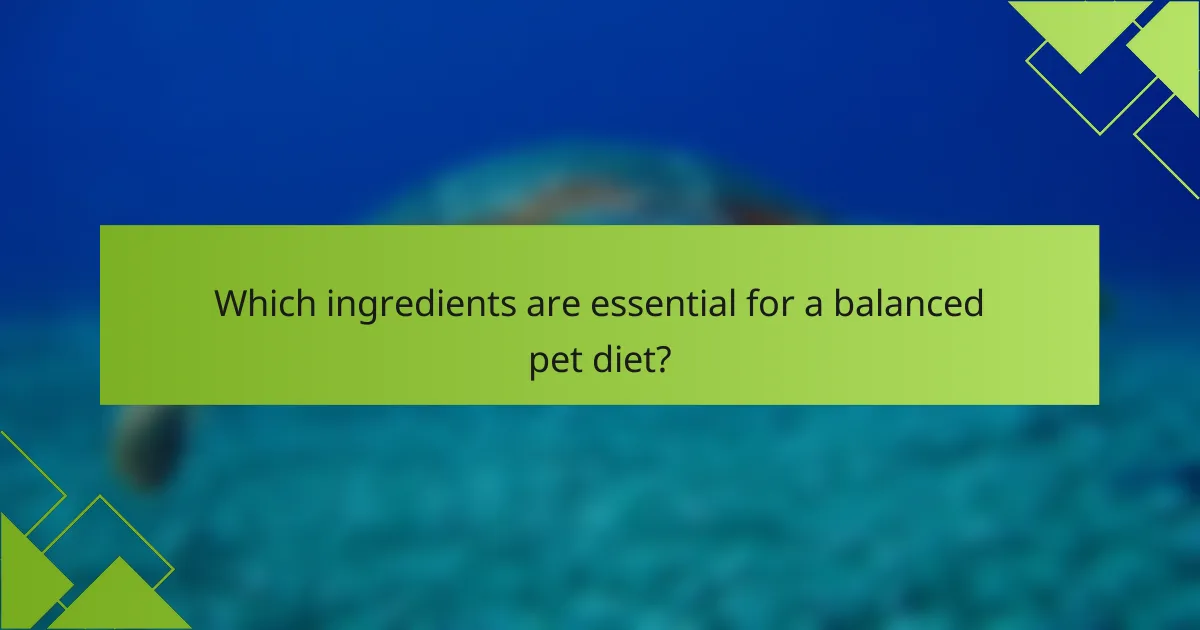 Which ingredients are essential for a balanced pet diet?