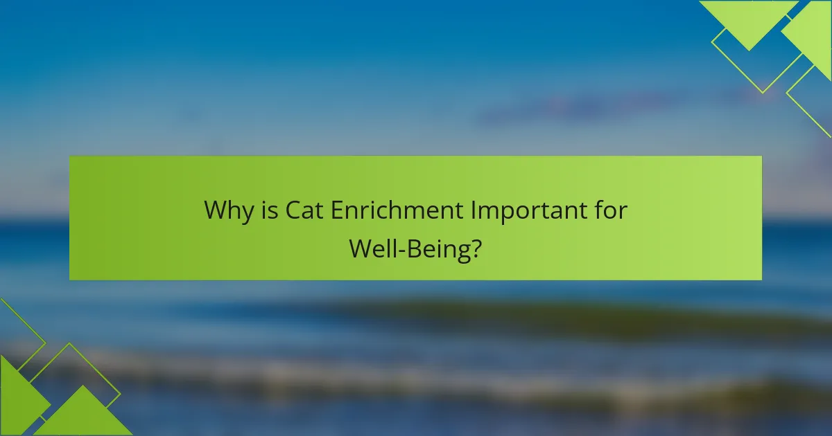 Why is Cat Enrichment Important for Well-Being?