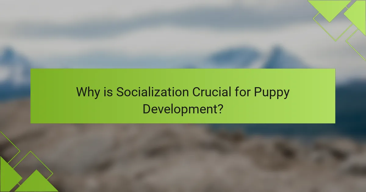 Why is Socialization Crucial for Puppy Development?